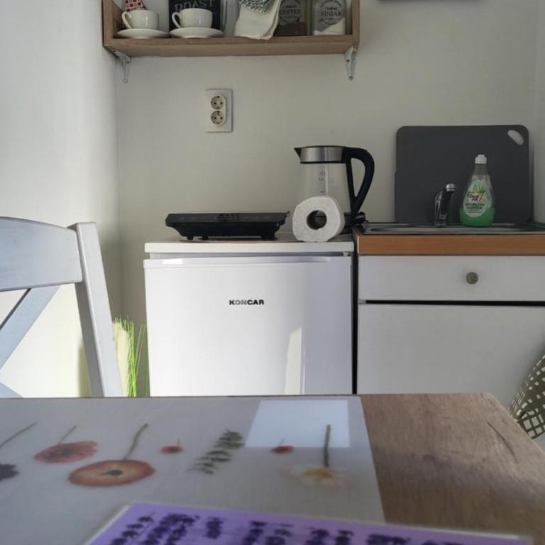 Studio Milica - Apartman sa 1 Spavaćom Sobom - 12