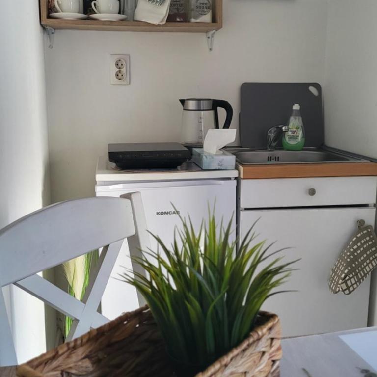 Studio Milica - Apartman sa 1 Spavaćom Sobom - 5