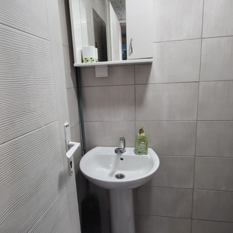 Studio Milica - Apartman sa 1 Spavaćom Sobom - 4