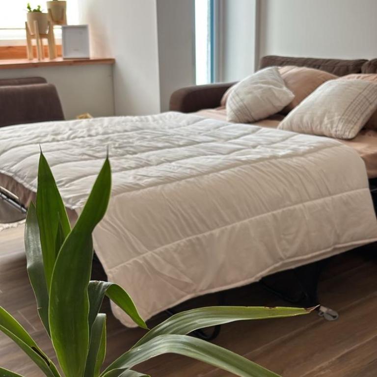 Pirca NQN - Apartamento de 1 dormitorio - 51