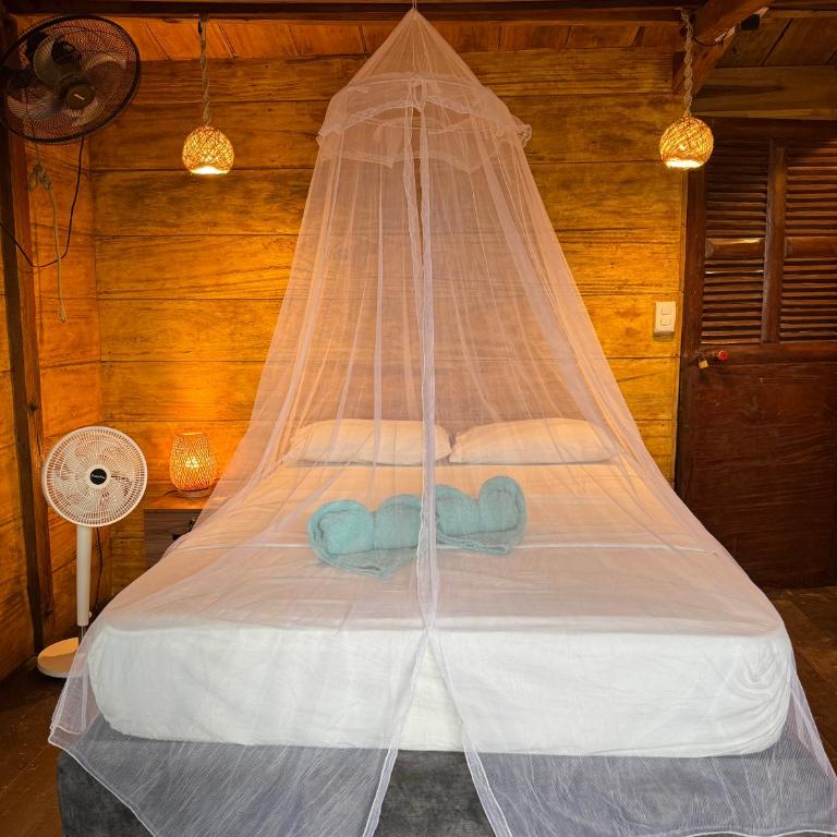 El Almendrón Beach Hostel - Habitación Doble Deluxe con balcón y vistas al mar - 11