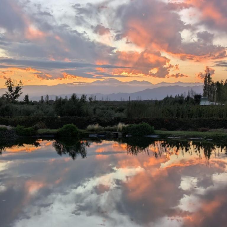 Boutique Vineyard and Wine Lodge - Villa de 3 dormitorios - 26