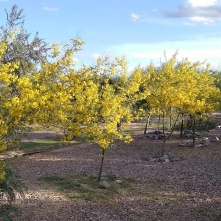 Boutique Vineyard and Wine Lodge - Villa de 3 dormitorios - 27