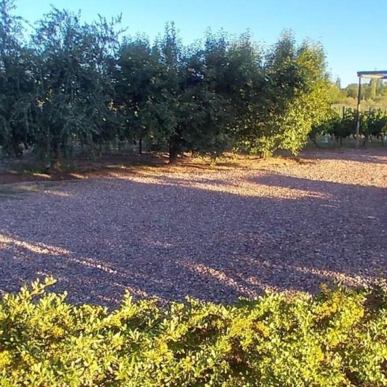 Boutique Vineyard and Wine Lodge - Villa de 3 dormitorios - 29