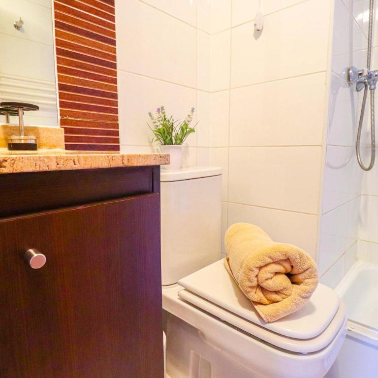 HOM I SKI IN-OUT frente a la Cordillera 4D3B 9PAX - Apartment - 11