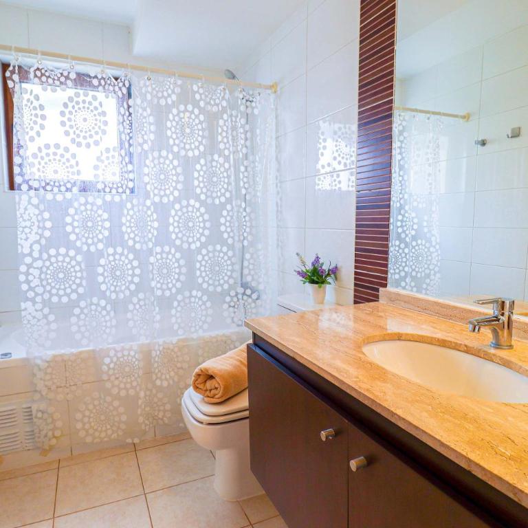 HOM I SKI IN-OUT frente a la Cordillera 4D3B 9PAX - Apartment - 19