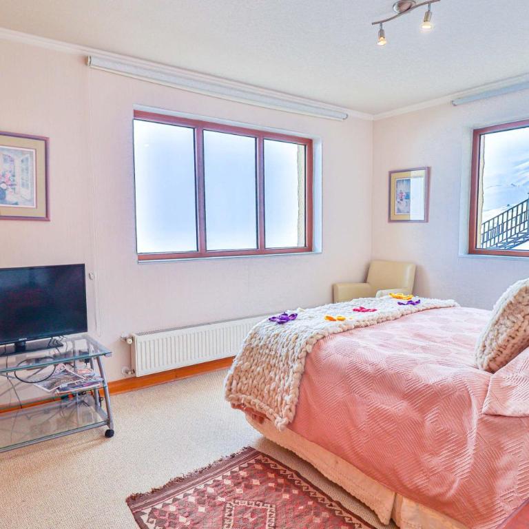 HOM I SKI IN-OUT frente a la Cordillera 4D3B 9PAX - Apartment - 20