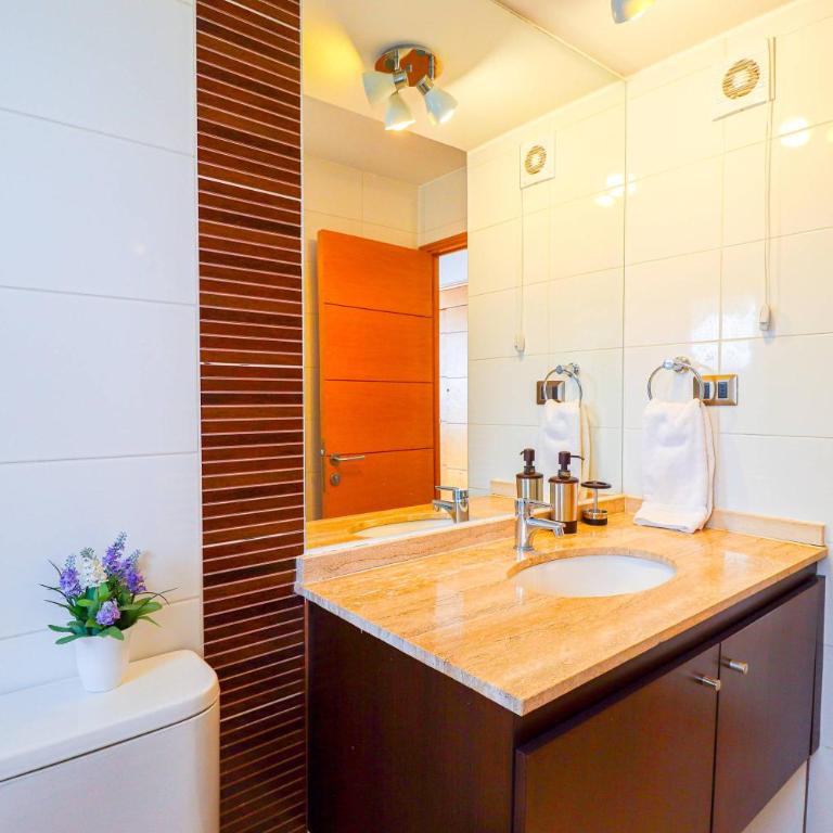 HOM I SKI IN-OUT frente a la Cordillera 4D3B 9PAX - Apartment - 21