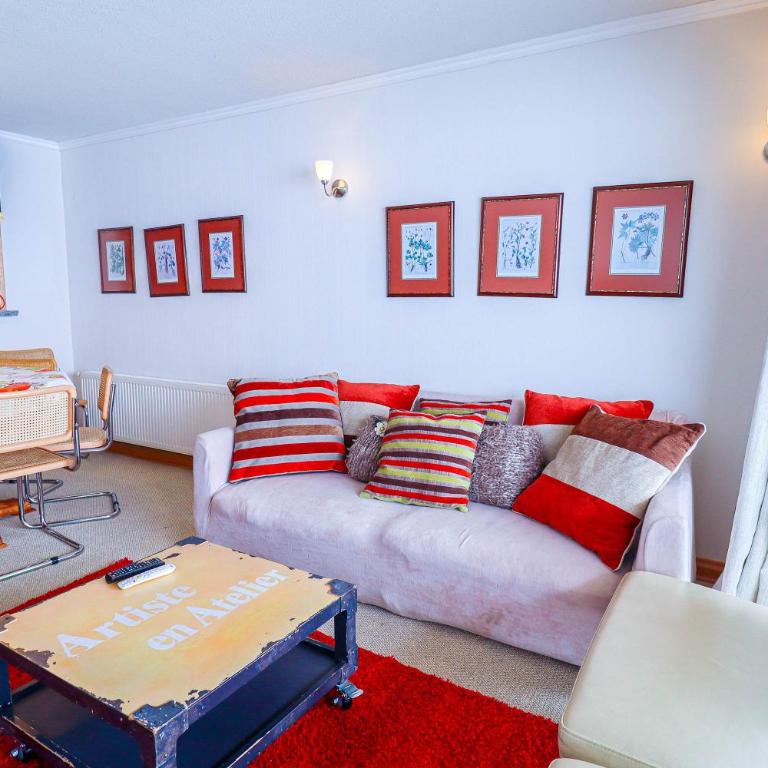 HOM I SKI IN-OUT frente a la Cordillera 4D3B 9PAX - Apartment - 26