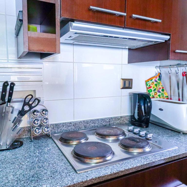 HOM I SKI IN-OUT frente a la Cordillera 4D3B 9PAX - Apartment - 32