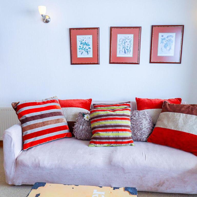 HOM I SKI IN-OUT frente a la Cordillera 4D3B 9PAX - Apartment - 35