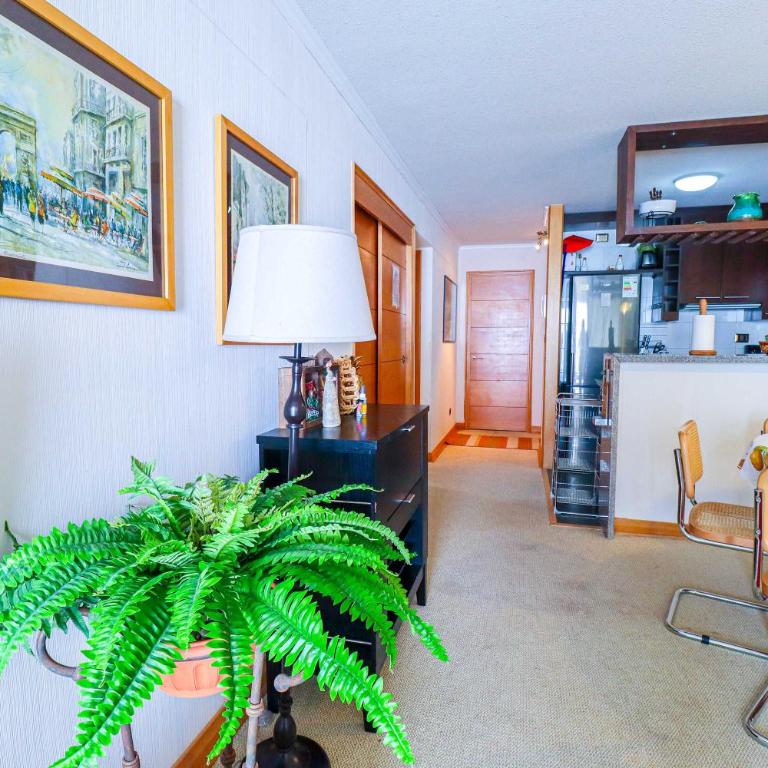 HOM I SKI IN-OUT frente a la Cordillera 4D3B 9PAX - Apartment - 43