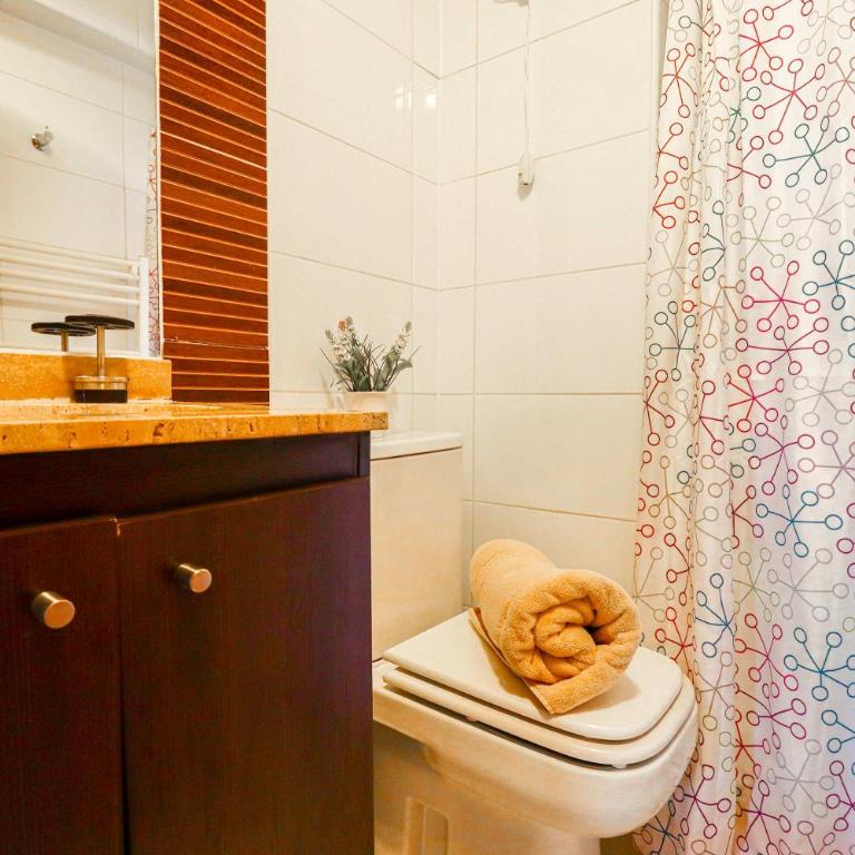 HOM I SKI IN-OUT frente a la Cordillera 4D3B 9PAX - Apartment - 47