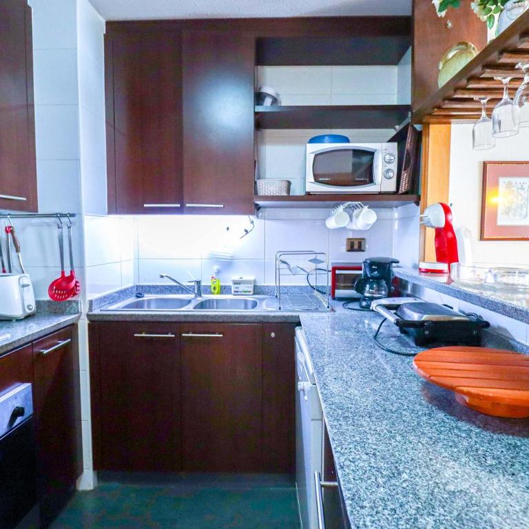 HOM I SKI IN-OUT frente a la Cordillera 4D3B 9PAX - Apartment - 48