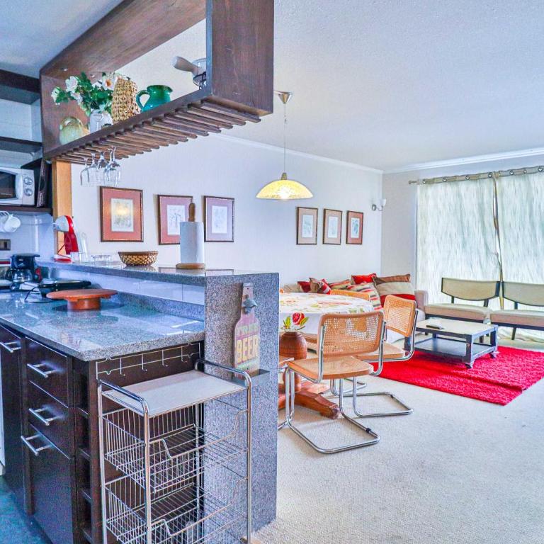 HOM I SKI IN-OUT frente a la Cordillera 4D3B 9PAX - Apartment - 49