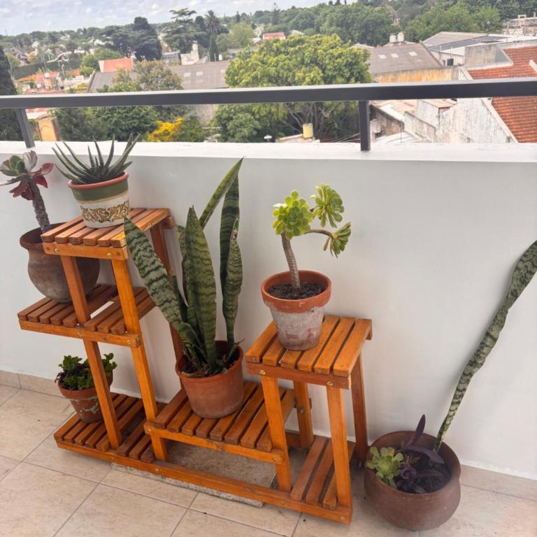 Experiencia Brown a Mtros Sanatorio Juncal - Apartamento de 1 dormitorio - 9