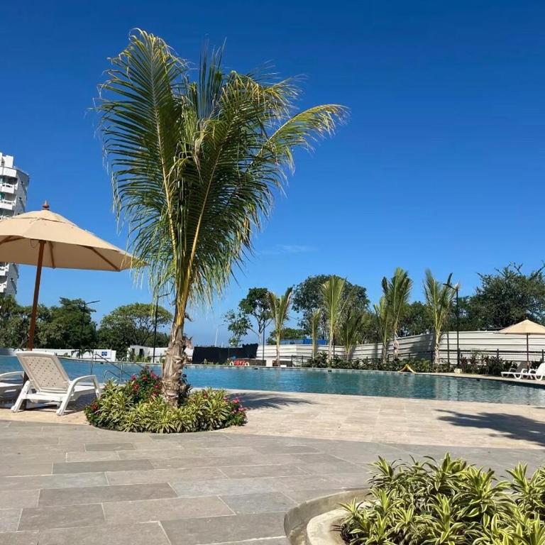Aparta Suite en Santamarina - Escápate al Caribe - Apartamento de 1 dormitorio - 18