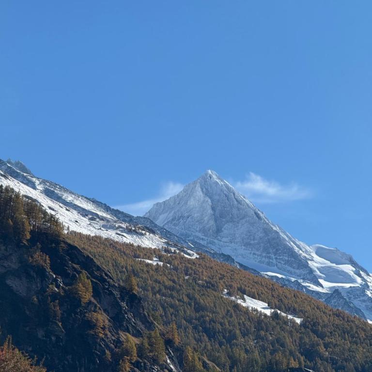 Appartement Églantier - Apartment mit 3 Schlafzimmern und Bergblick - 4