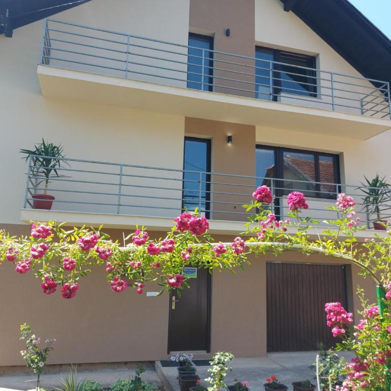 Apartmani" Irina 1" Pale - One-Bedroom Apartment - 20
