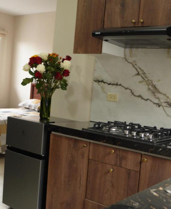 Amathea Imperial - One-Bedroom Apartment - 8