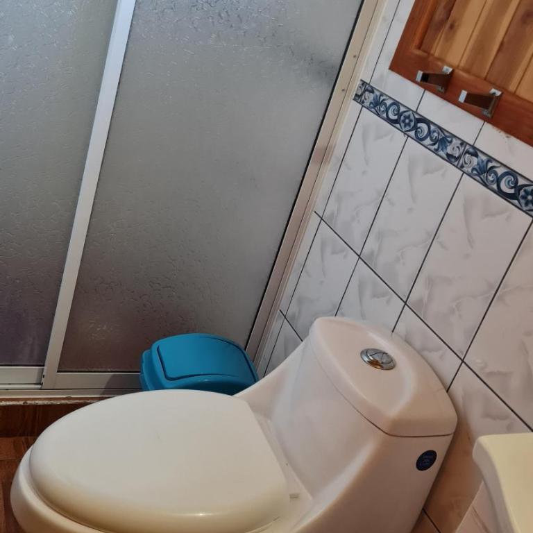 Coñaripe Kuyen Mapu Cabañas - Chalet - 11