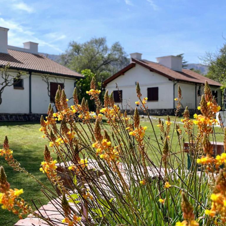 Cabañas Aldea Blanca - Casa de 2 dormitorios - 1