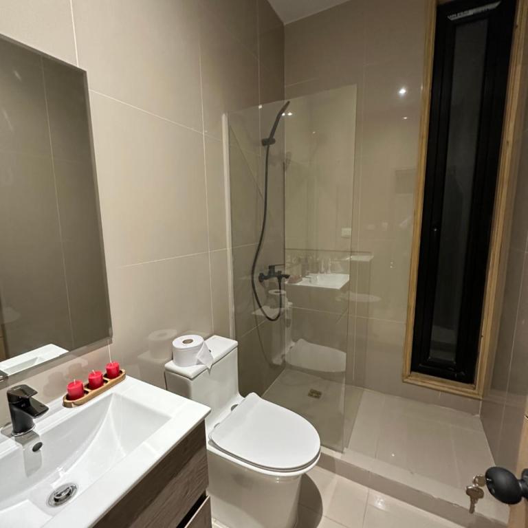 Loft Boutique Independiente Cochrane - One-Bedroom Apartment - 3