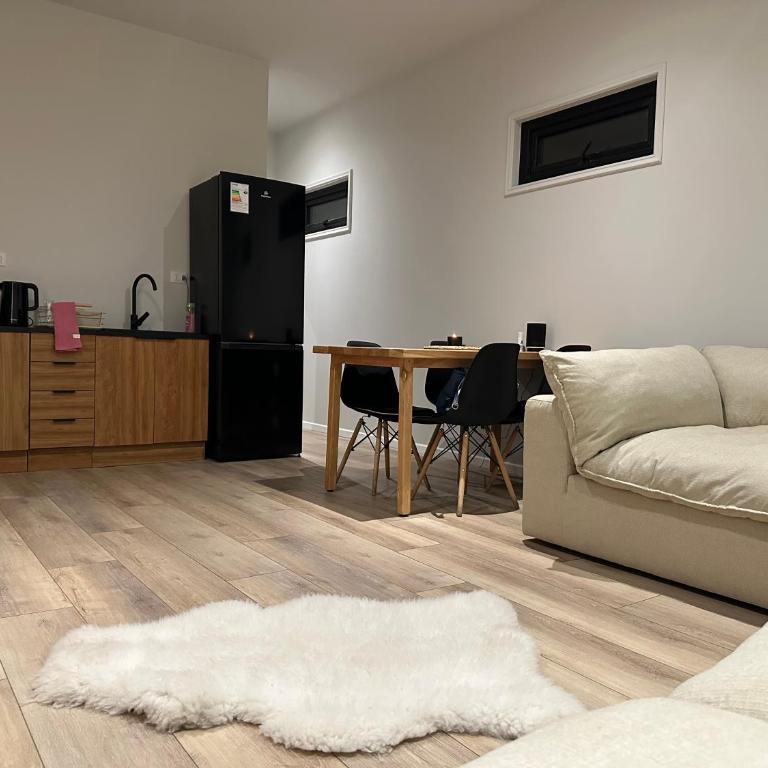 Loft Boutique Independiente Cochrane - One-Bedroom Apartment - 2