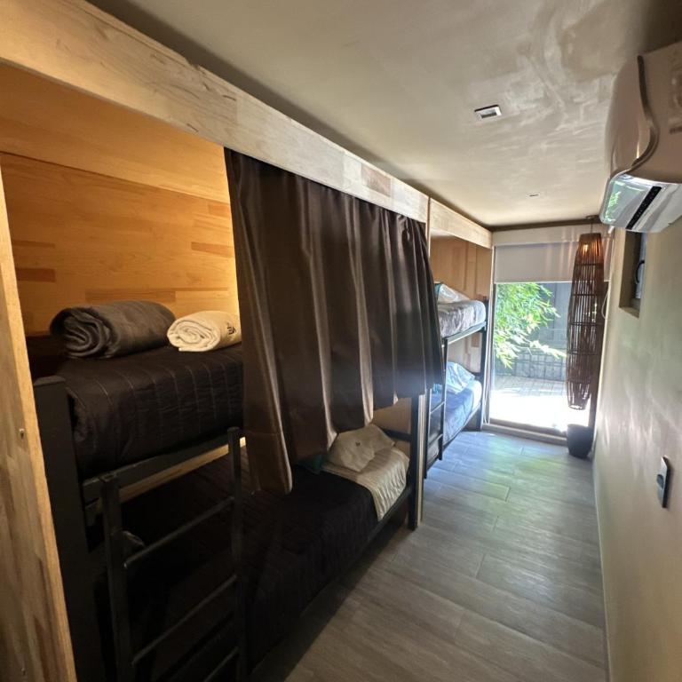 La Selva Hostel - Cama en habitación compartida femenina de 6 camas - 2