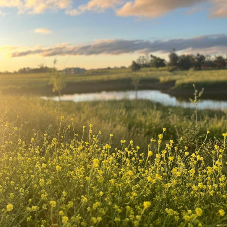 Hostel de campo La Providencia - Suite con vistas al jardín - 17