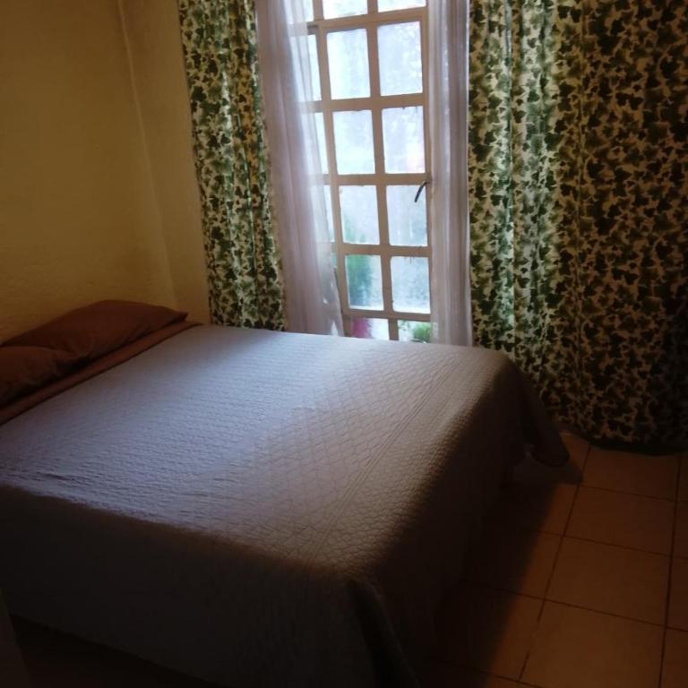 Departamento E-5 metro Copilco UNAM Coyoacan - Two-Room Apartment - 2