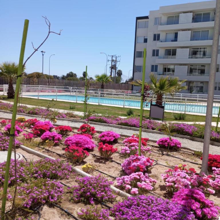 Jardines del Pacifico - Three-Bedroom Apartment - 3