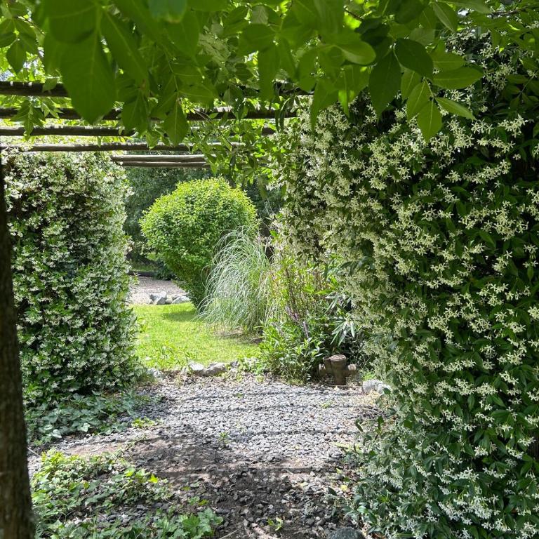 Casas O h a n a n - Casa - 13