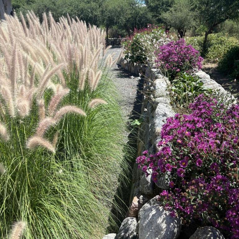 Casa Jasmine - Cafayate Holiday - Casa de 3 dormitorios - 25