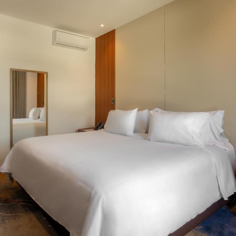 Alko Hotel Integrado - Habitación Deluxe - 2