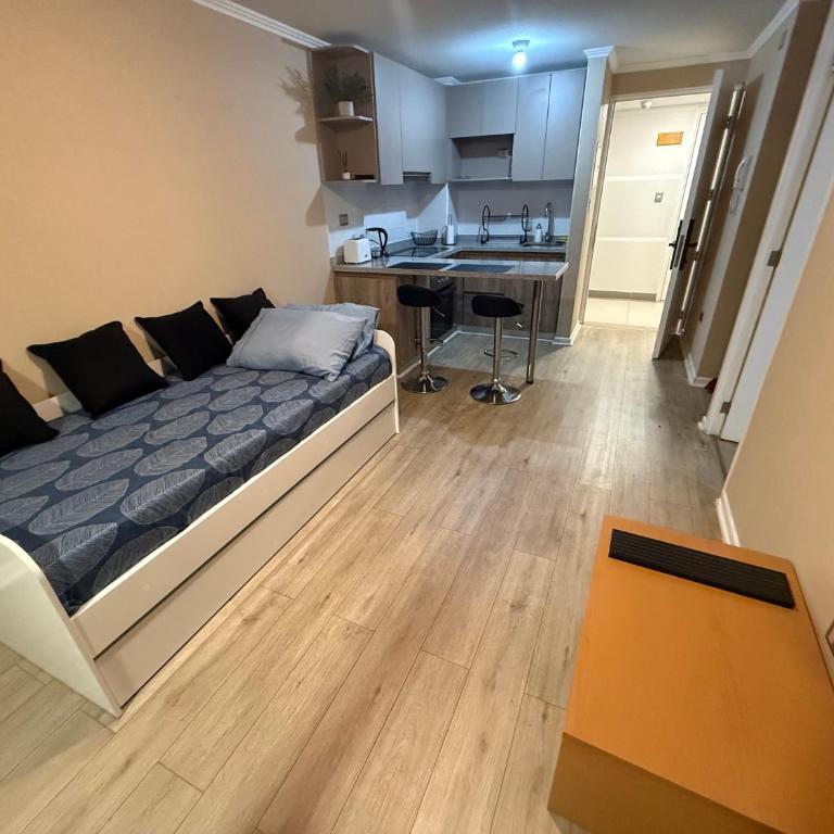 Departamento Avenida Ulriksen - One-Bedroom Standard Apartment - 12