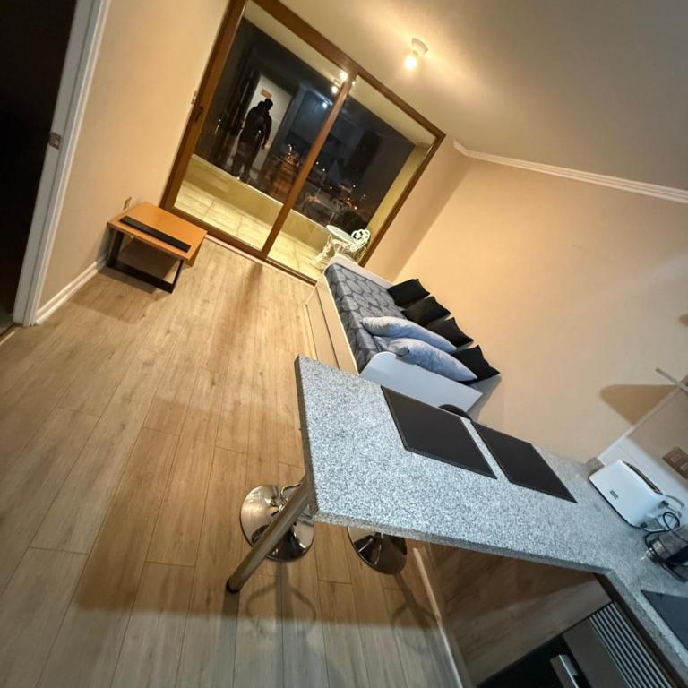 Departamento Avenida Ulriksen - One-Bedroom Standard Apartment - 1