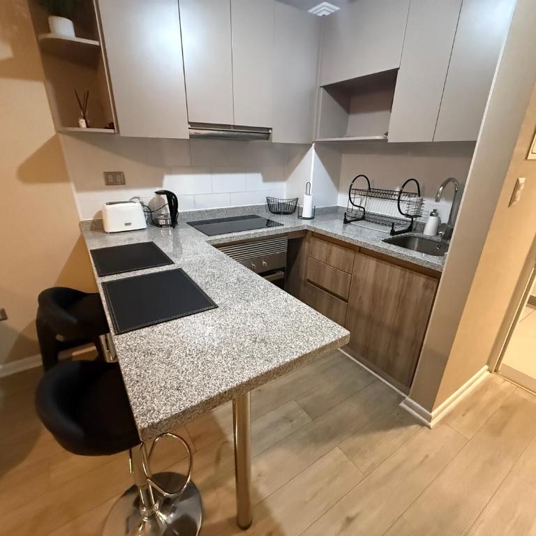 Departamento Avenida Ulriksen - One-Bedroom Standard Apartment - 32