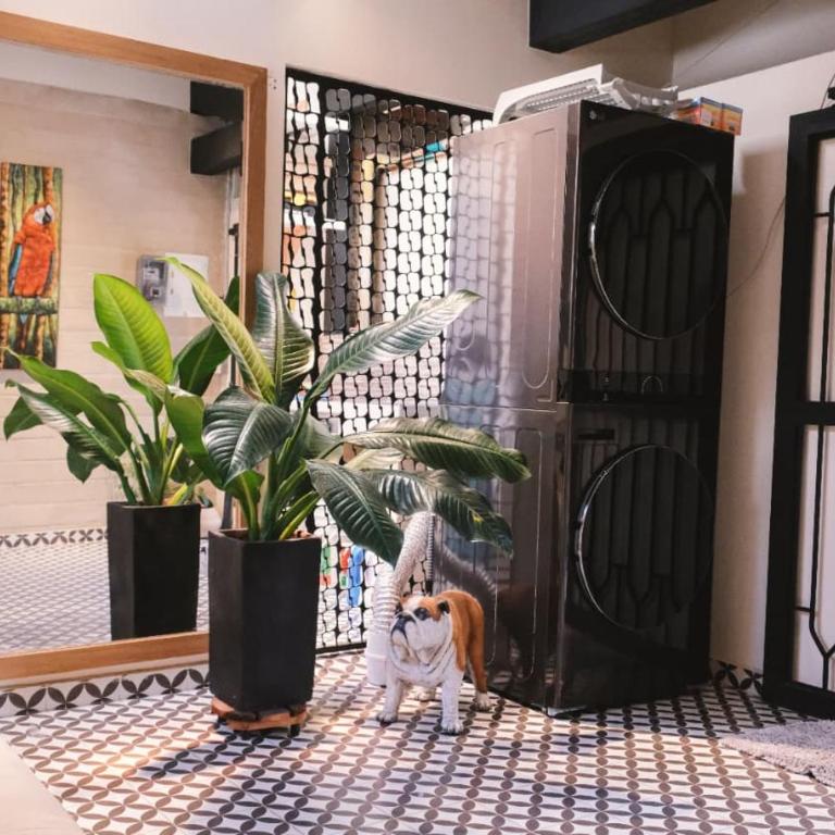 Ceiba y Yarumo - Apartamento de 1 dormitorio - 3