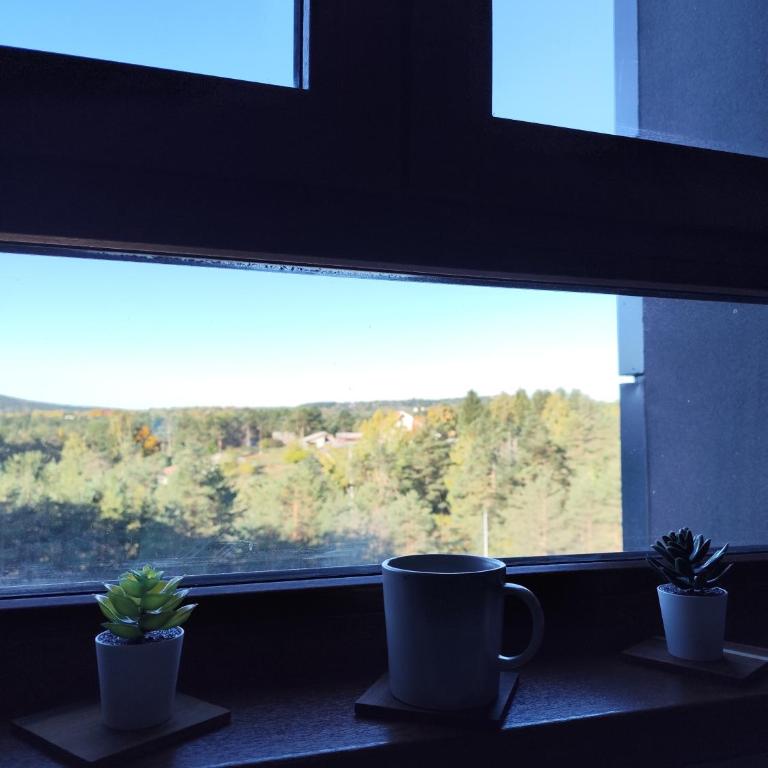 Nova Dream C 18 Divčibare - Apartman sa 1 Spavaćom Sobom - 16