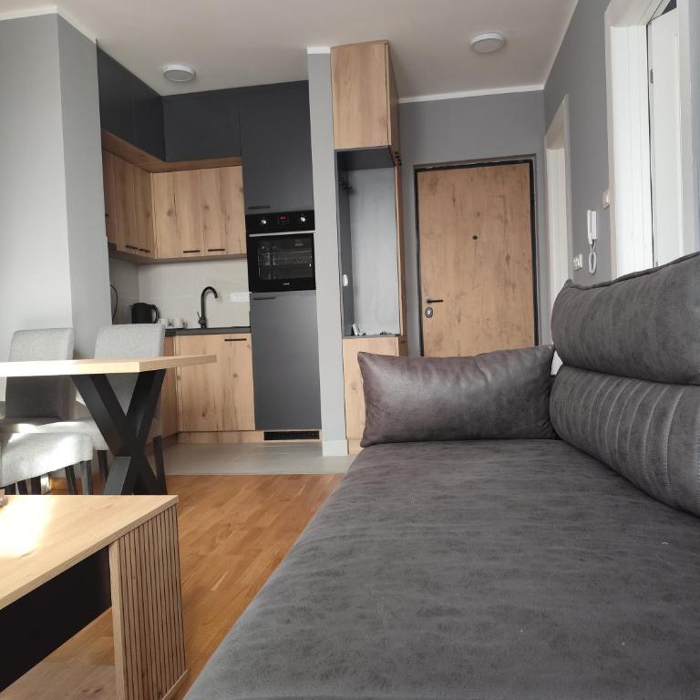 Nova Dream C 18 Divčibare - Apartman sa 1 Spavaćom Sobom - 8