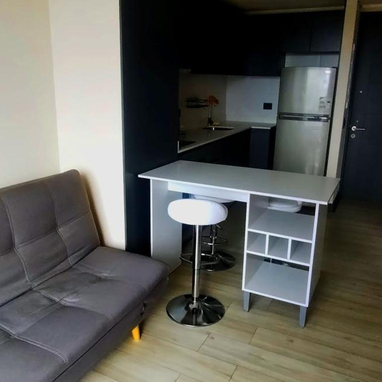 We have the ideal space for you in Ñuñoa - One-Bedroom Apartment - 1