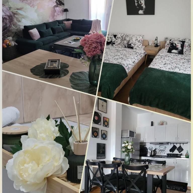 Apartment Božur - Apartman sa 1 Spavaćom Sobom i Balkonom - 1