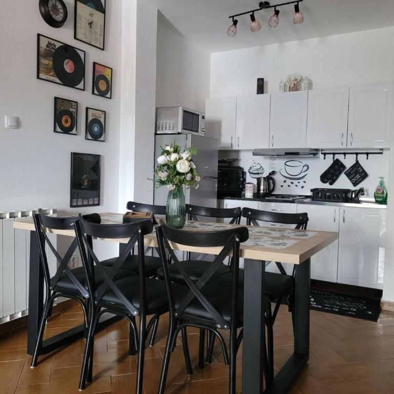 Apartment Božur - Apartman sa 1 Spavaćom Sobom i Balkonom - 6