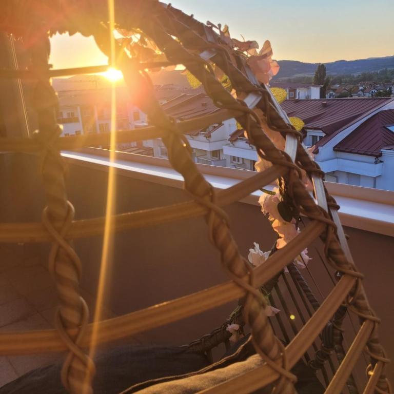Apartment Božur - Apartman sa 1 Spavaćom Sobom i Balkonom - 11