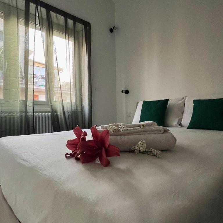 Domus Jota - Comfort e Stile in Suite Indipendente - Appartement 1 Chambre - 3