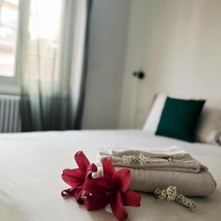Domus Jota - Comfort e Stile in Suite Indipendente - Appartement 1 Chambre - 14