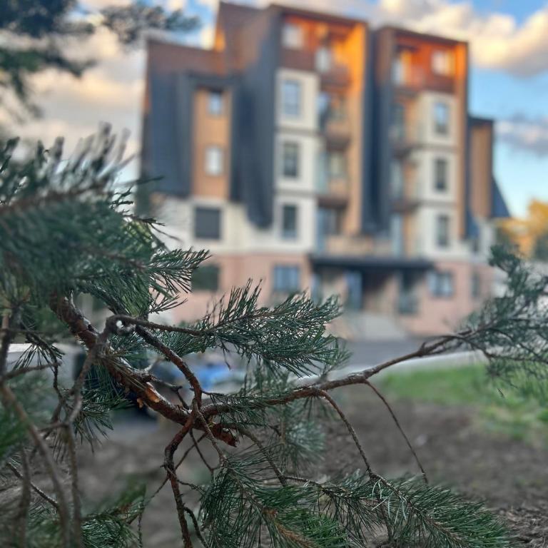 Zmaj 28 - Apartman sa 1 Spavaćom Sobom - 6
