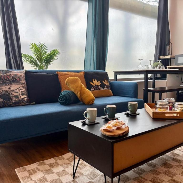 Duplex lumineux centre-ville - Apartment mit 1 Schlafzimmer - 2