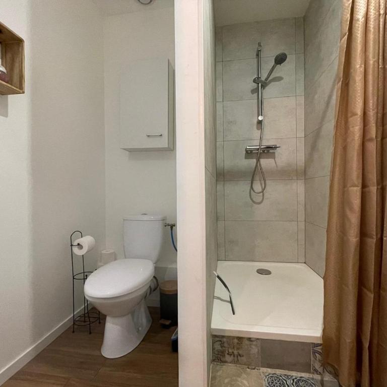 Duplex lumineux centre-ville - Apartment mit 1 Schlafzimmer - 12